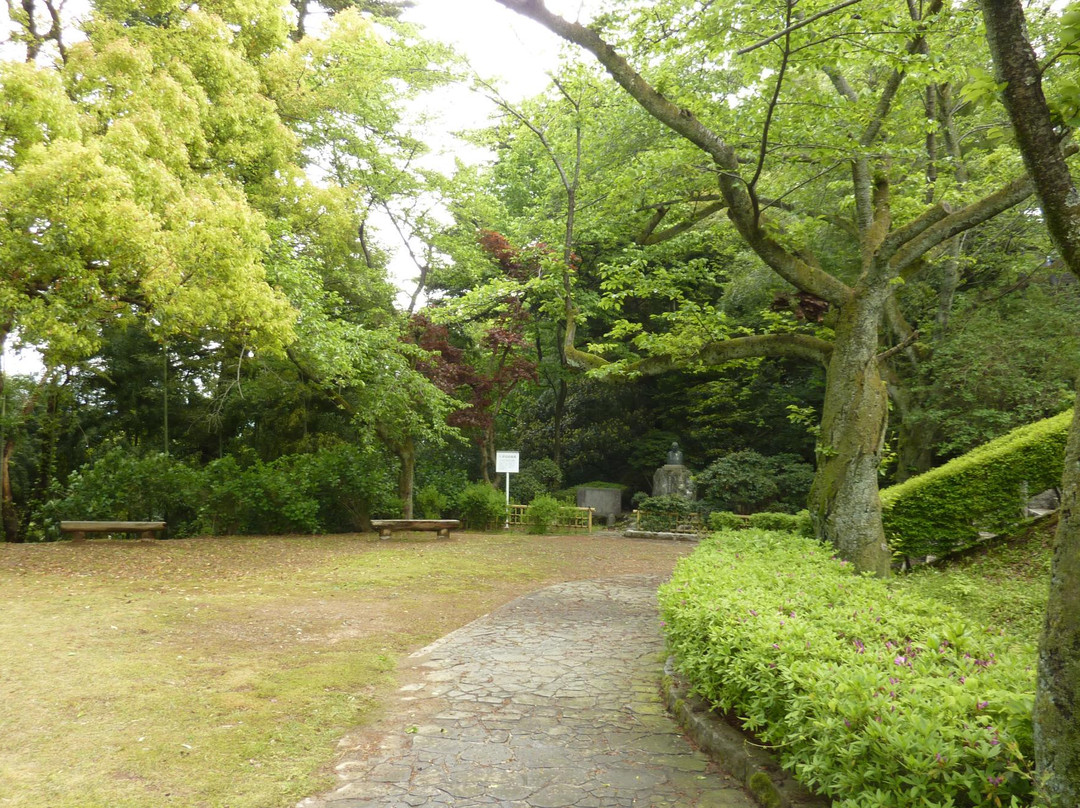 Asuwayama Park景点图片