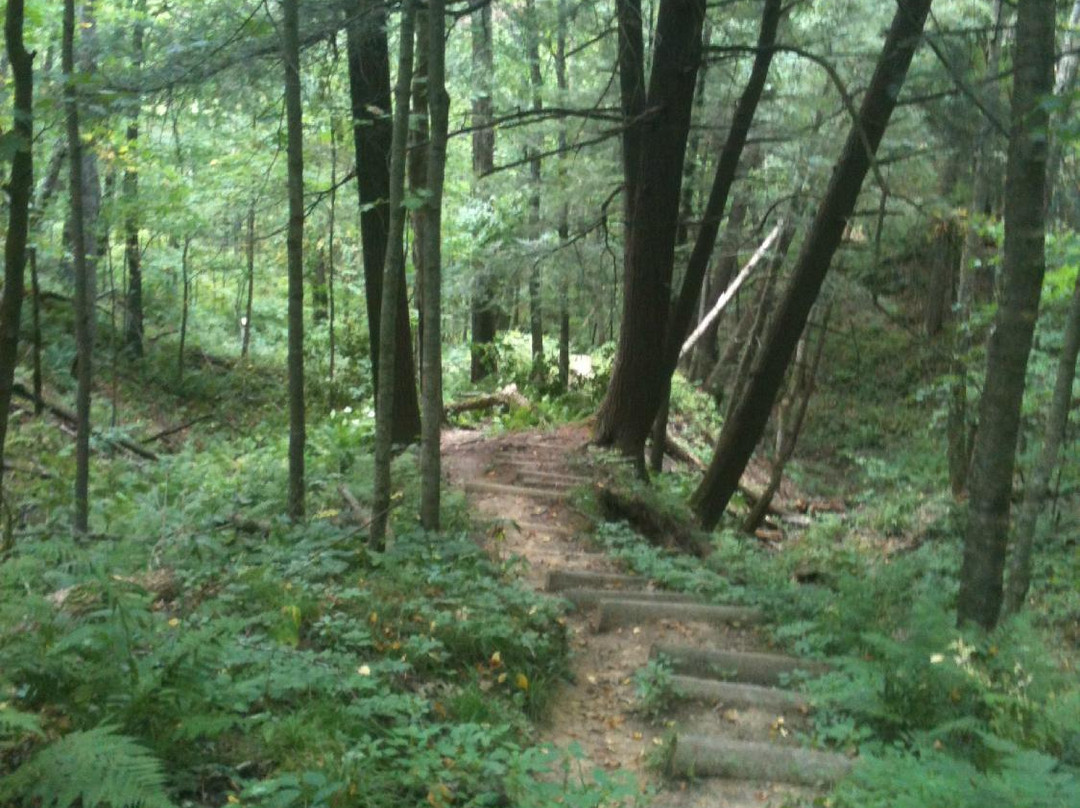 Wildcat Mountain State Park景点图片