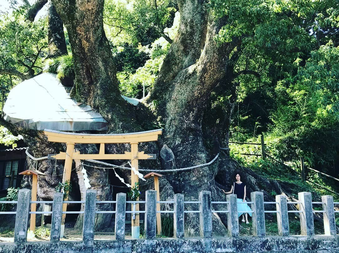 Suga Shrine