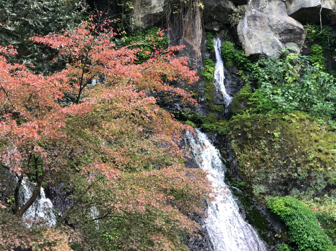 Tamatare Falls景点图片