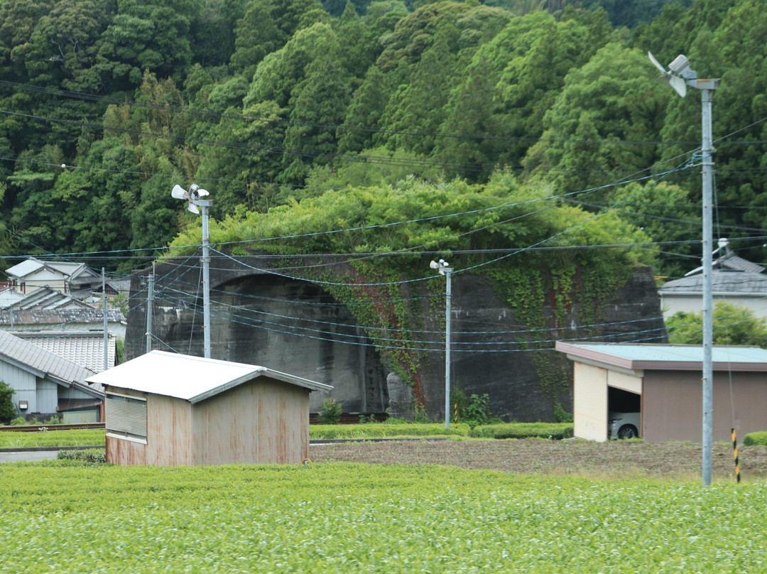 Nihonichi Mijikai Tunnel景点图片