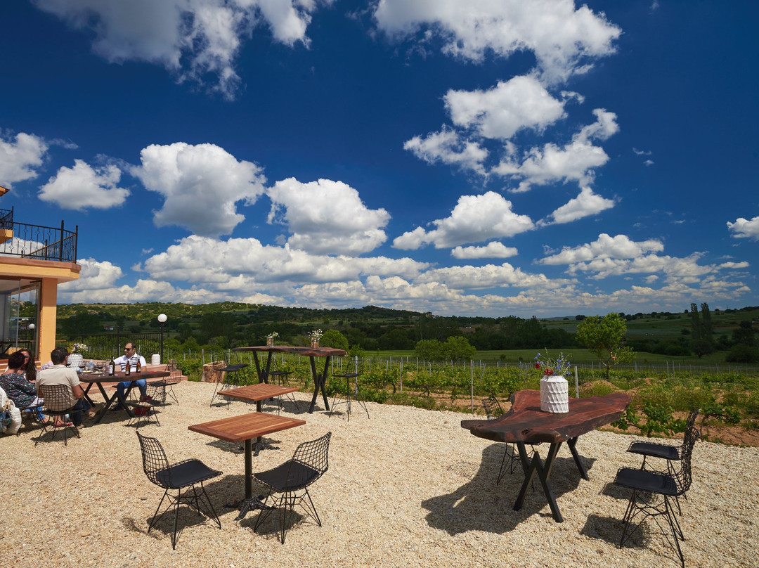 Dessera Bağ Evi主图