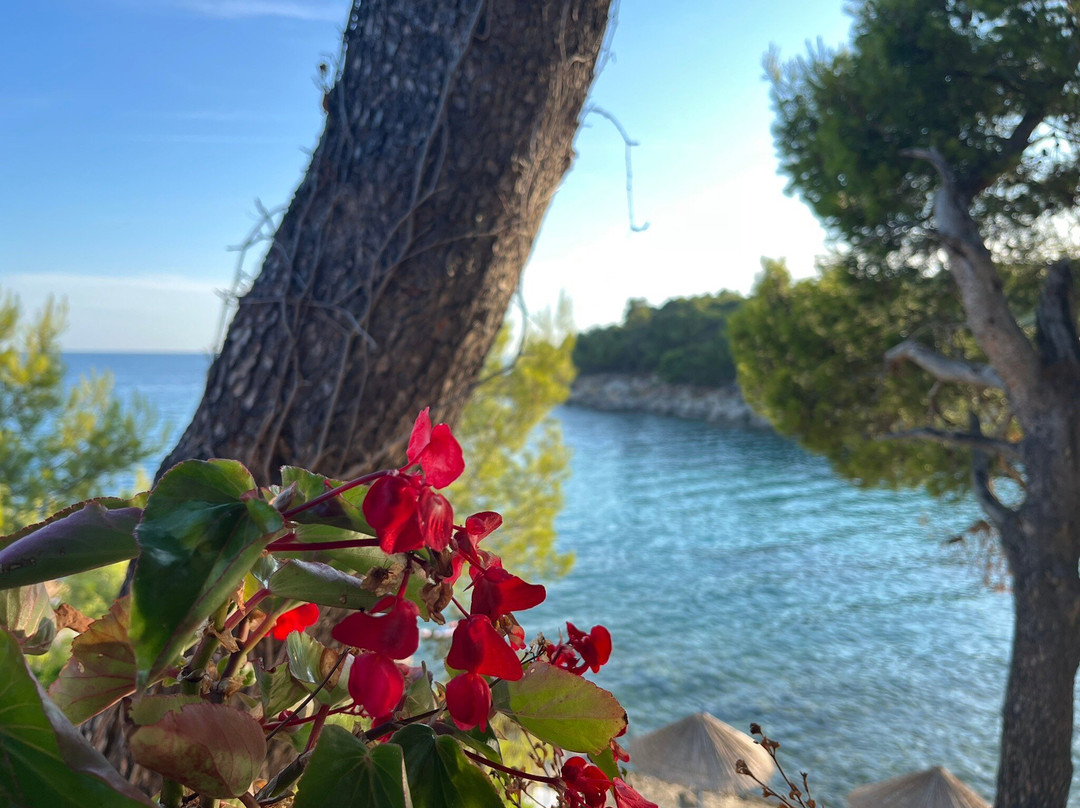 Restoran Biser Kandarola