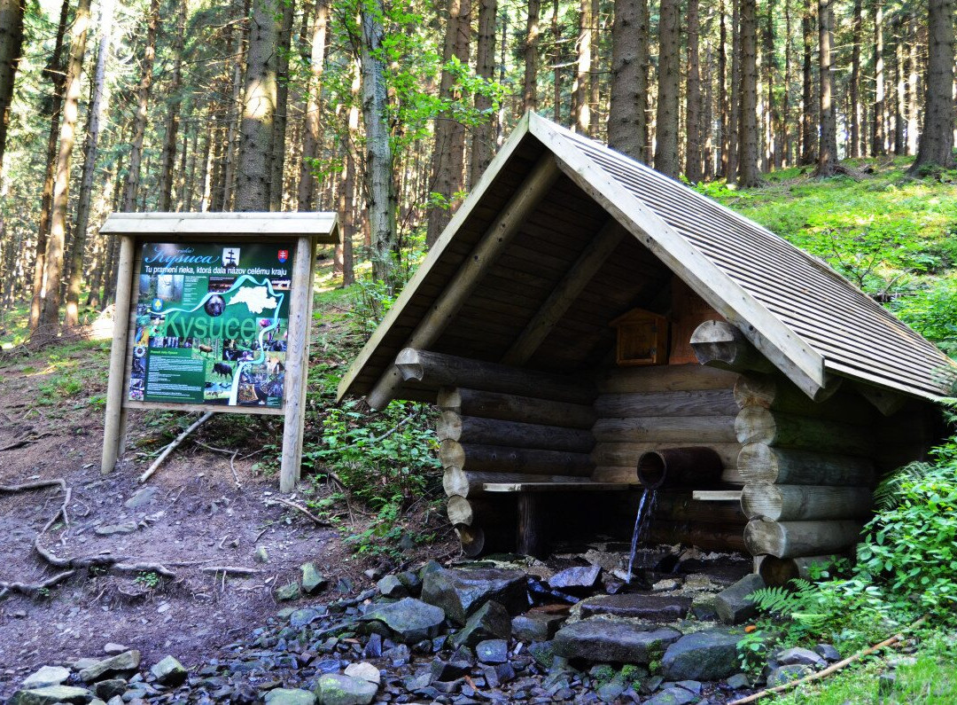 The Source Of The River Kysuca