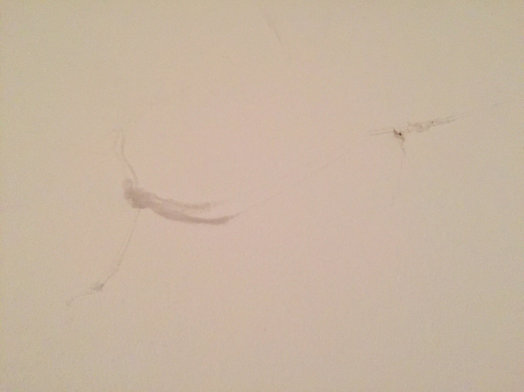 Hôtel Domaine du Lac主图