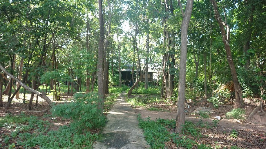 Wat Larn Kuad - Beer Bottle Temple-四色菊必去景点