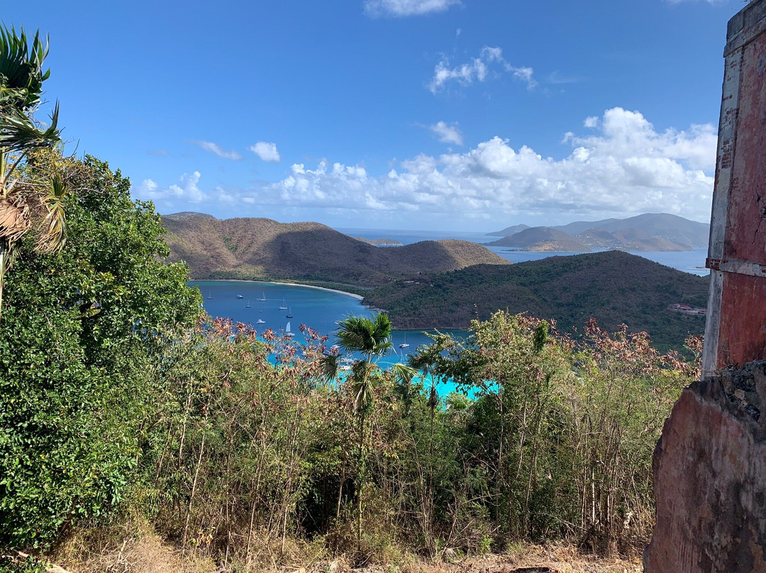 Cinnamon Bay Nature Trail-维尔京群岛国家公园必去景点