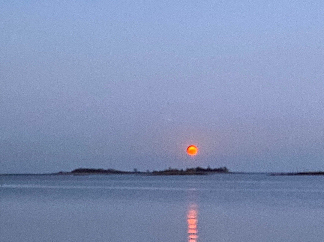 Calf Pasture Beach-诺沃克必去景点