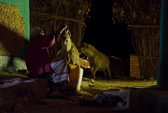 Gigi Ethiopia Tours-巴哈尔达尔必去景点