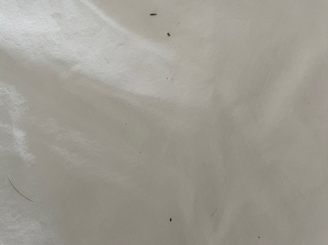 Hampton Inn & Suites Manchester-Bedford主图