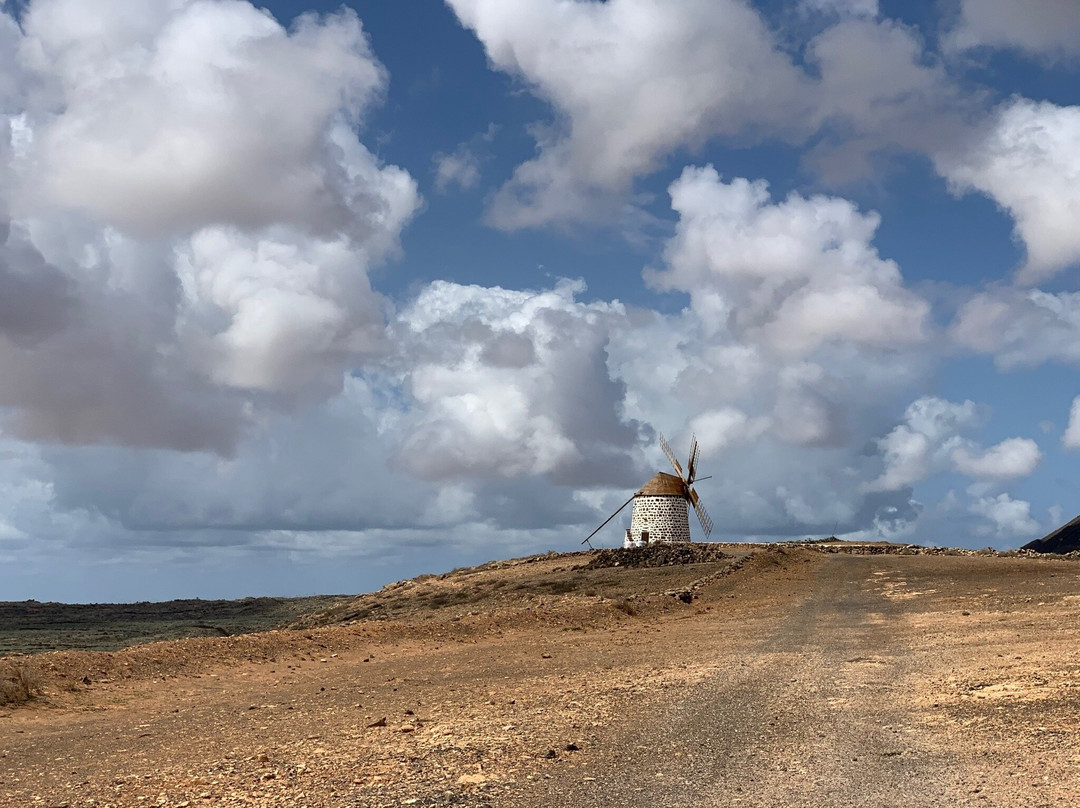 Molinos de Villaverde景点图片