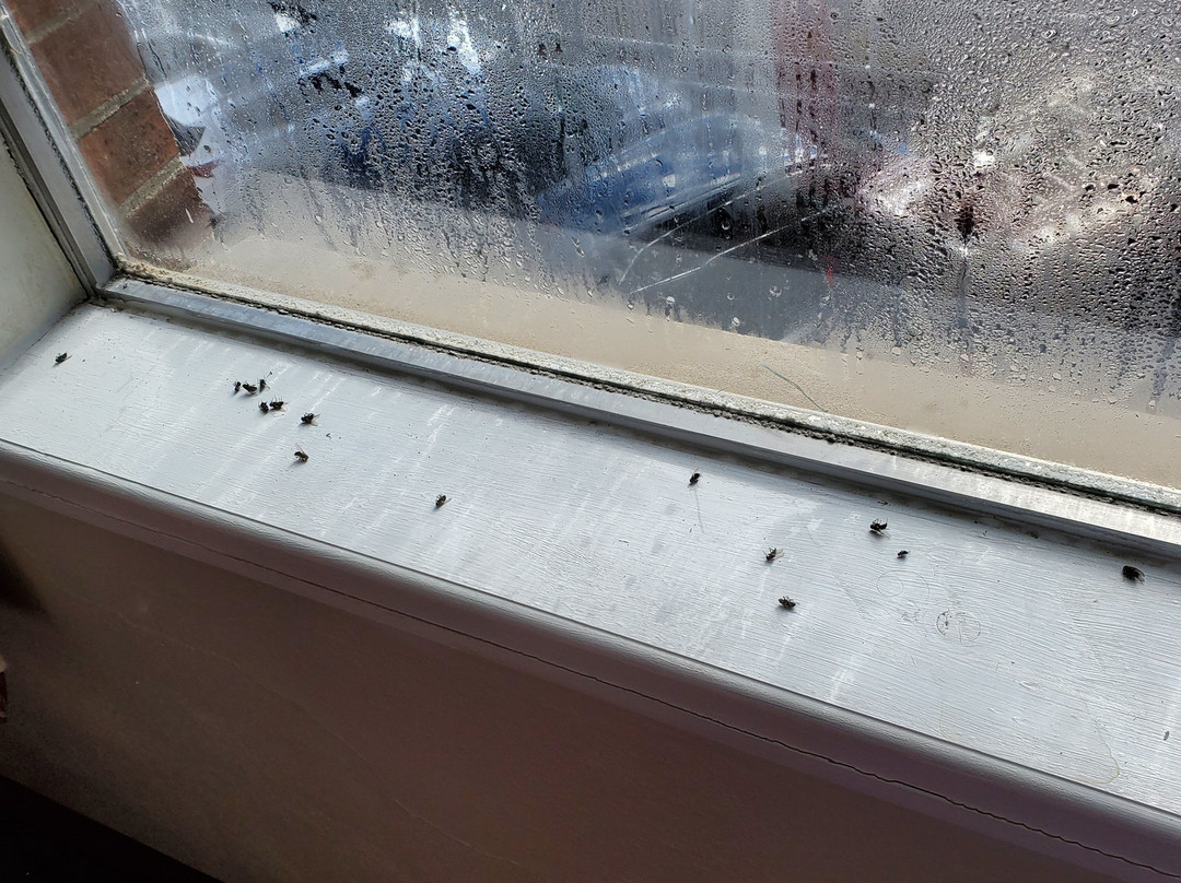 Ramada by Wyndham Ligonier主图