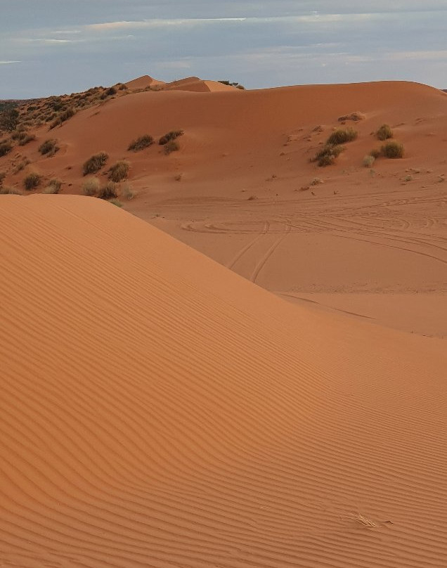 Birdsville Adventure Tours-Birdsville必去景点