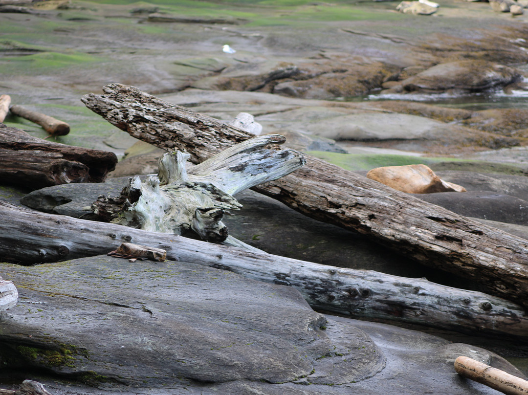 Roberts Memorial Provincial Park景点图片