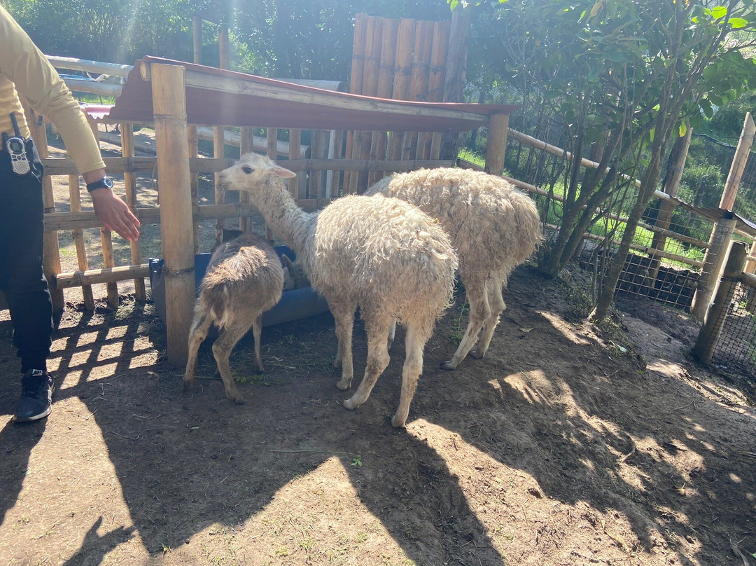 El Jardin Alado-Tumbaco必去景点