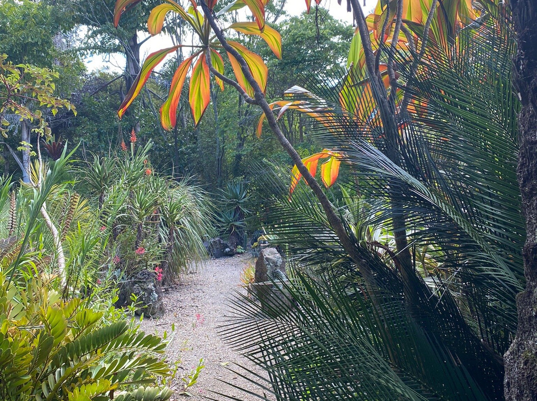Wharepuke Sculpture Park景点图片