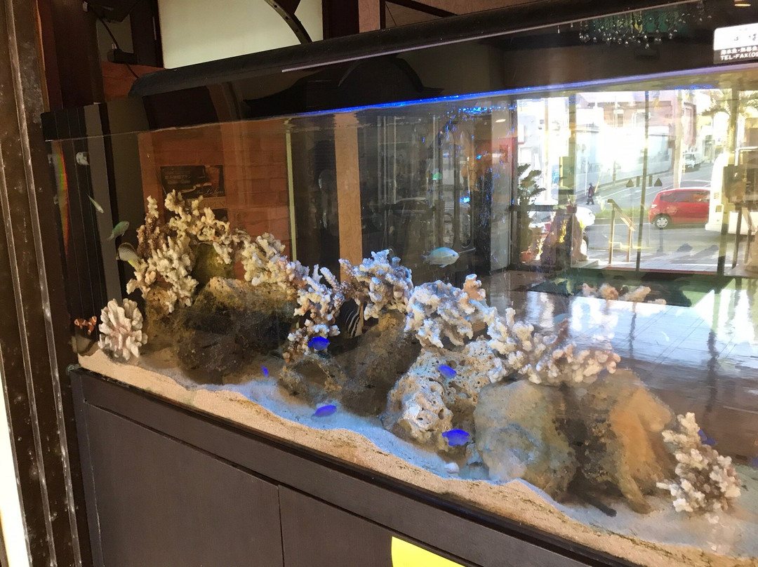 旭日观光酒店主图