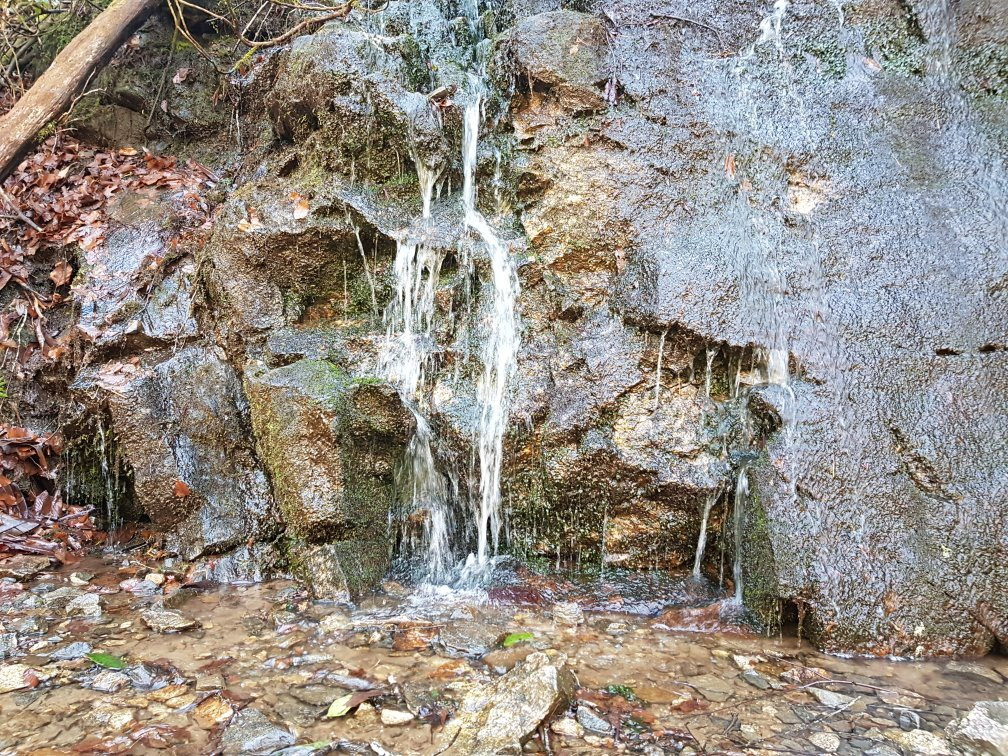 Hemlock Falls Trail-Clarkesville必去景点