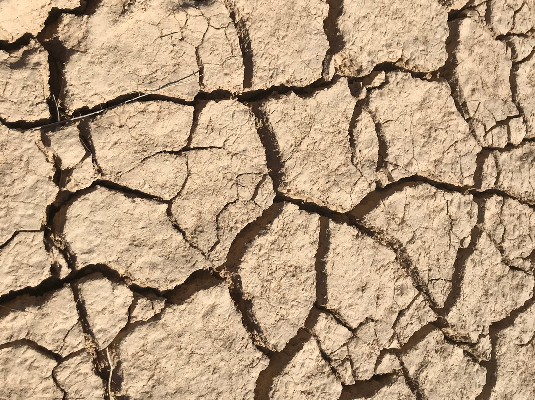 Peimot Midbar-Ein Yahav必去景点