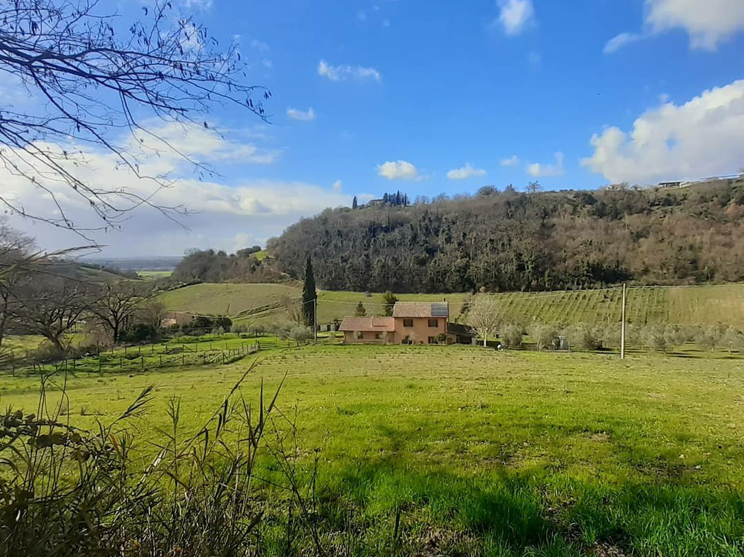 Magliano Sabina餐馆和美食-Agriturismo CentOlivi