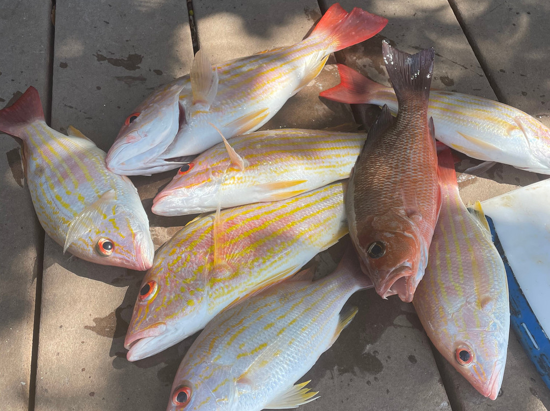 Reel Intense Inshore Charters-Boca Grande必去景点