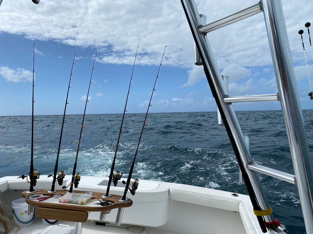 Silver Fox Fishing景点图片