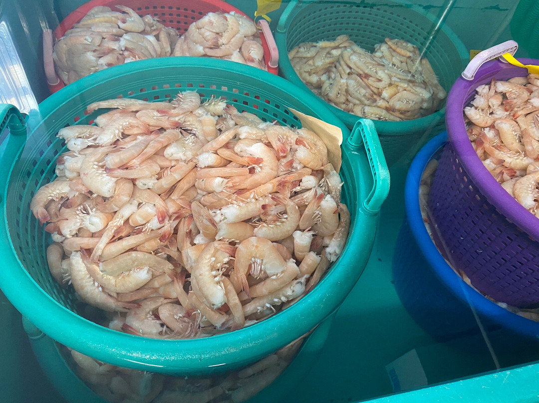 Ostego Bay Marine Science Center-迈尔斯堡海滩必去景点