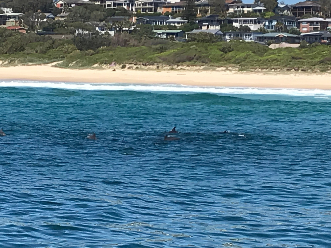 Amaroo Cruises-福斯特必去景点