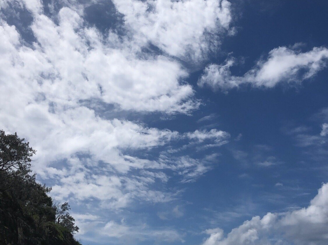 Amity Point Beach景点图片