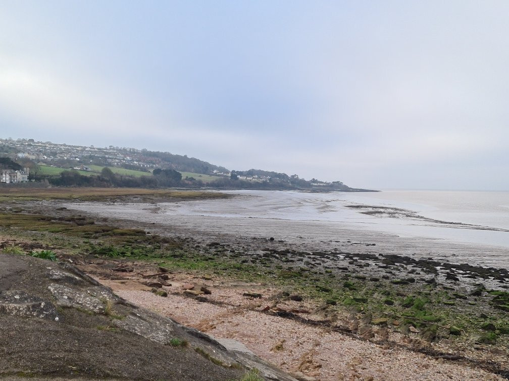 Portishead Lake Grounds-布里斯托尔必去景点