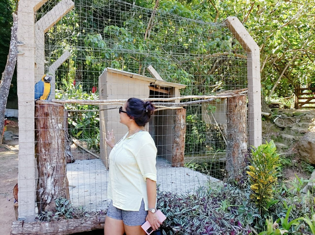 Sitio das Bromelias主图