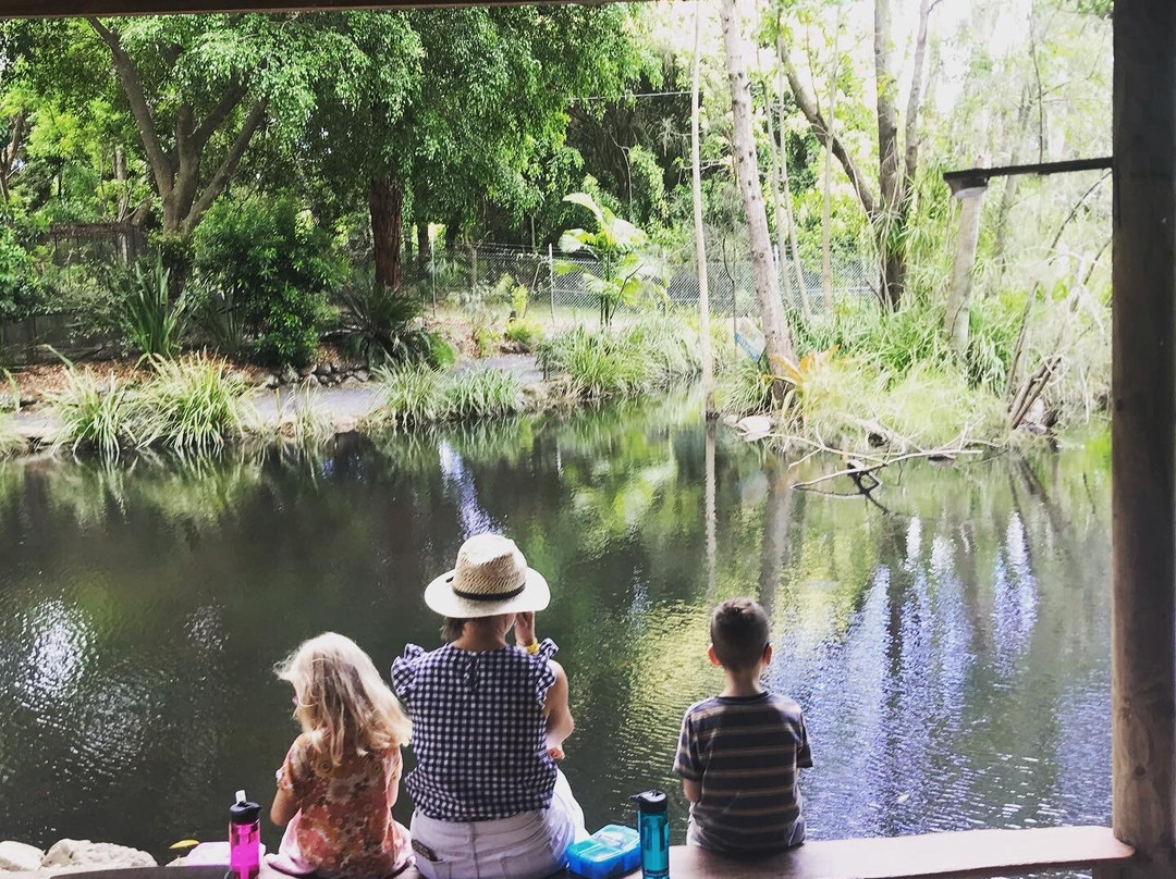 Byron Bay Wildlife Sanctuary景点图片