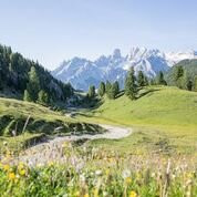 Hotel Chalet Olympia主图