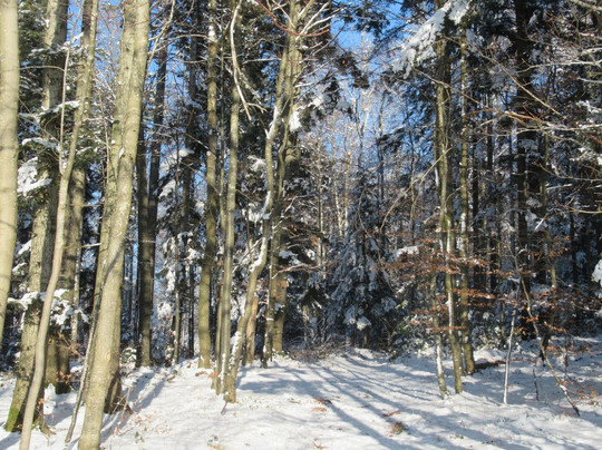 Haute-borne-德莱蒙必去景点