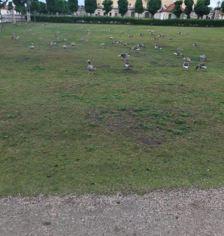 Schlosspark