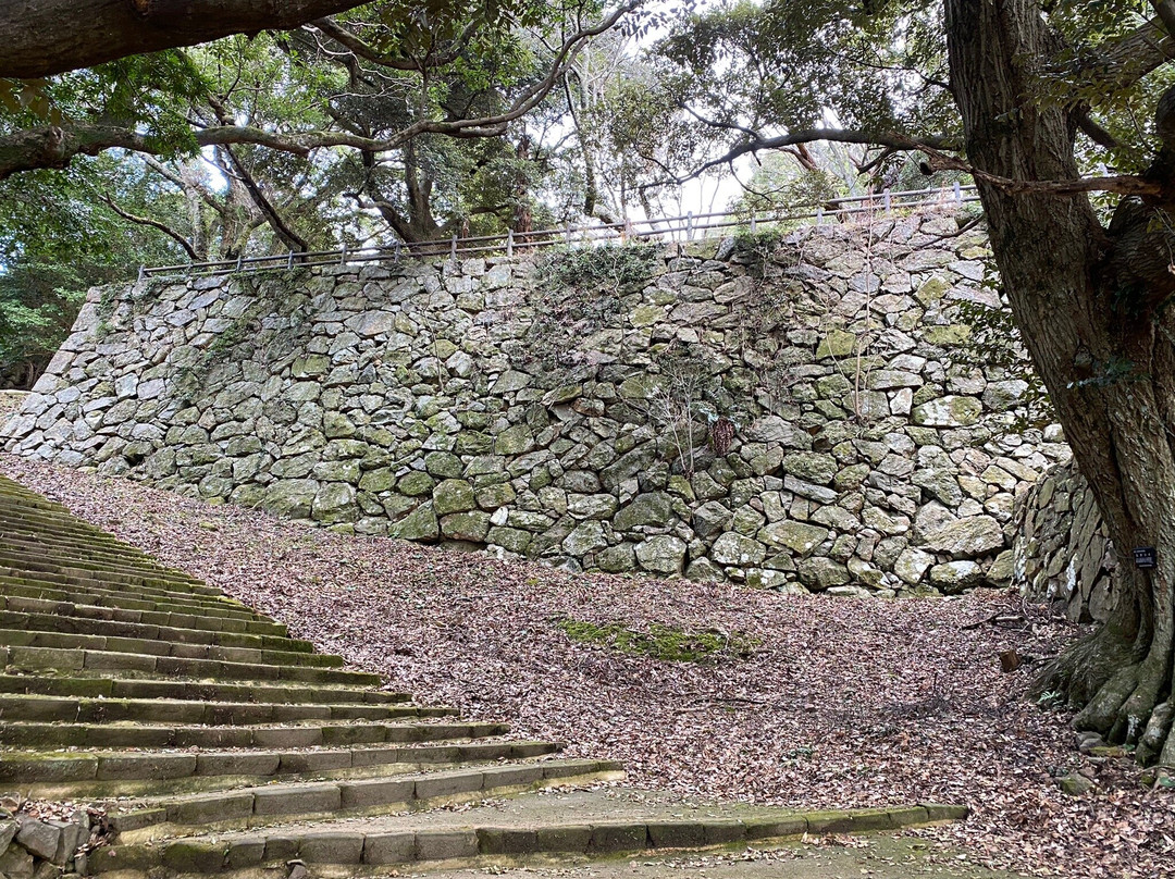 Hamada Castle Ruins-滨田市必去景点