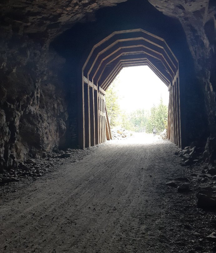 Myra Canyon Bicycle Rental And Tours景点图片