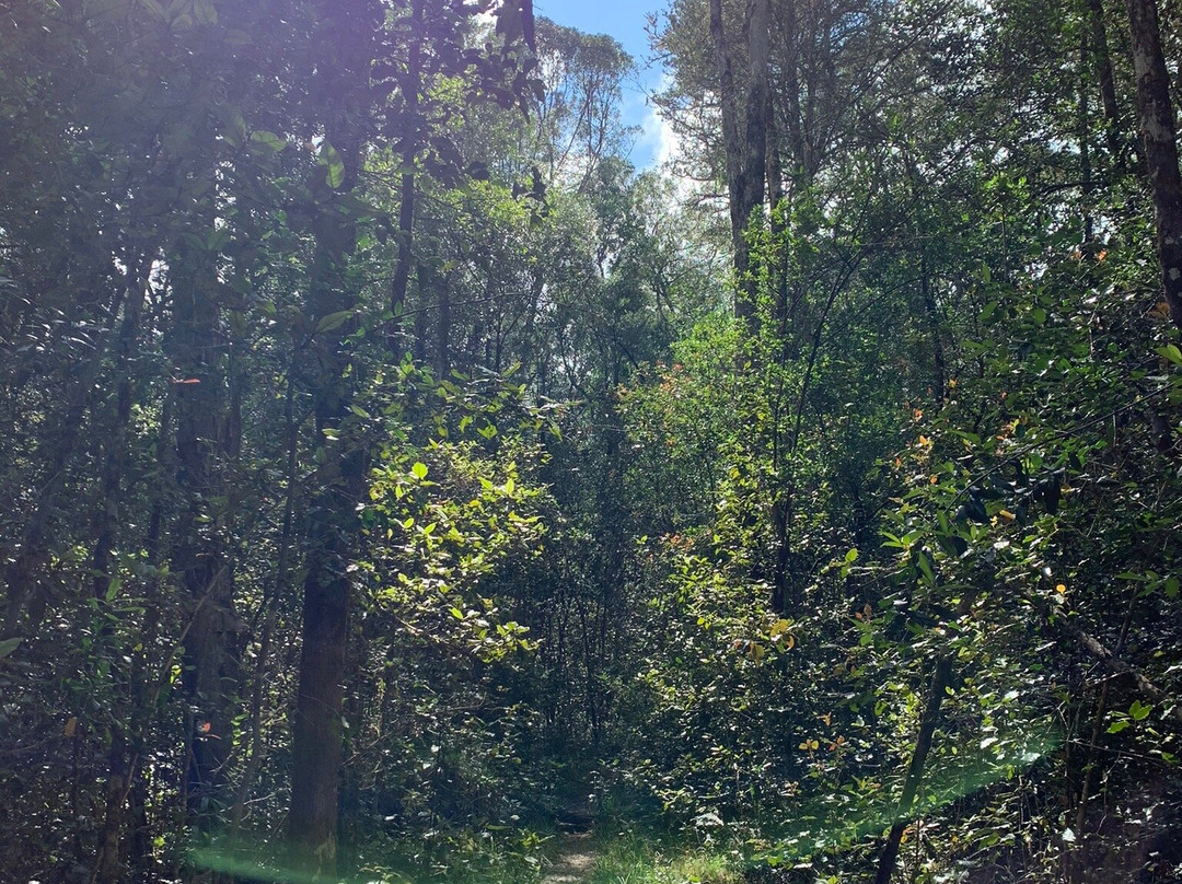 Terblans Nature Walk-克尼斯纳必去景点