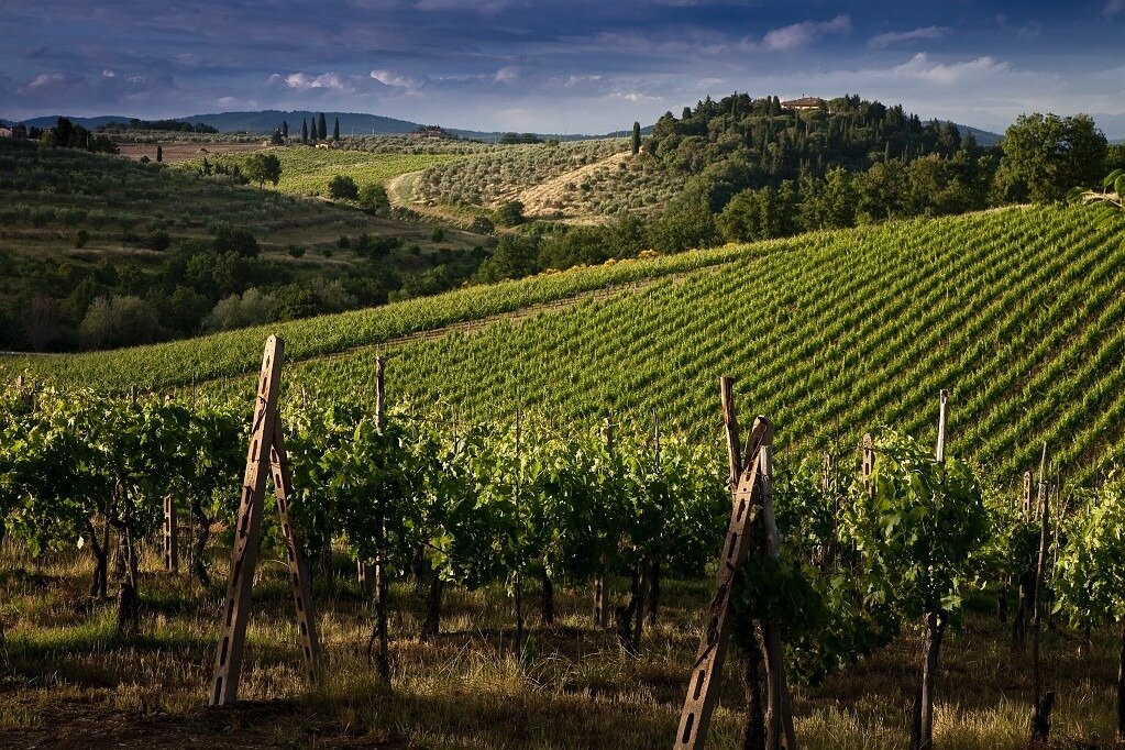 Casa Emma Wine Tasting Experience景点图片