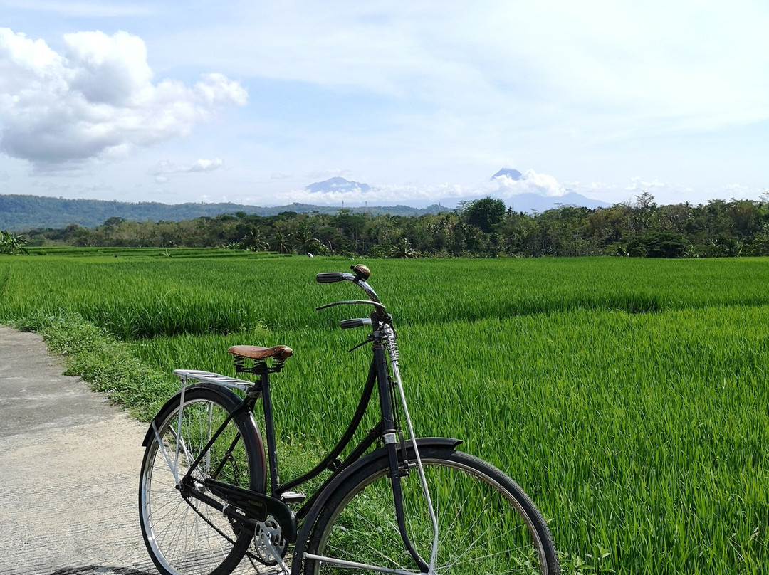 Moana - Sustainable Bicycle Tour-Yogyakarta必去景点