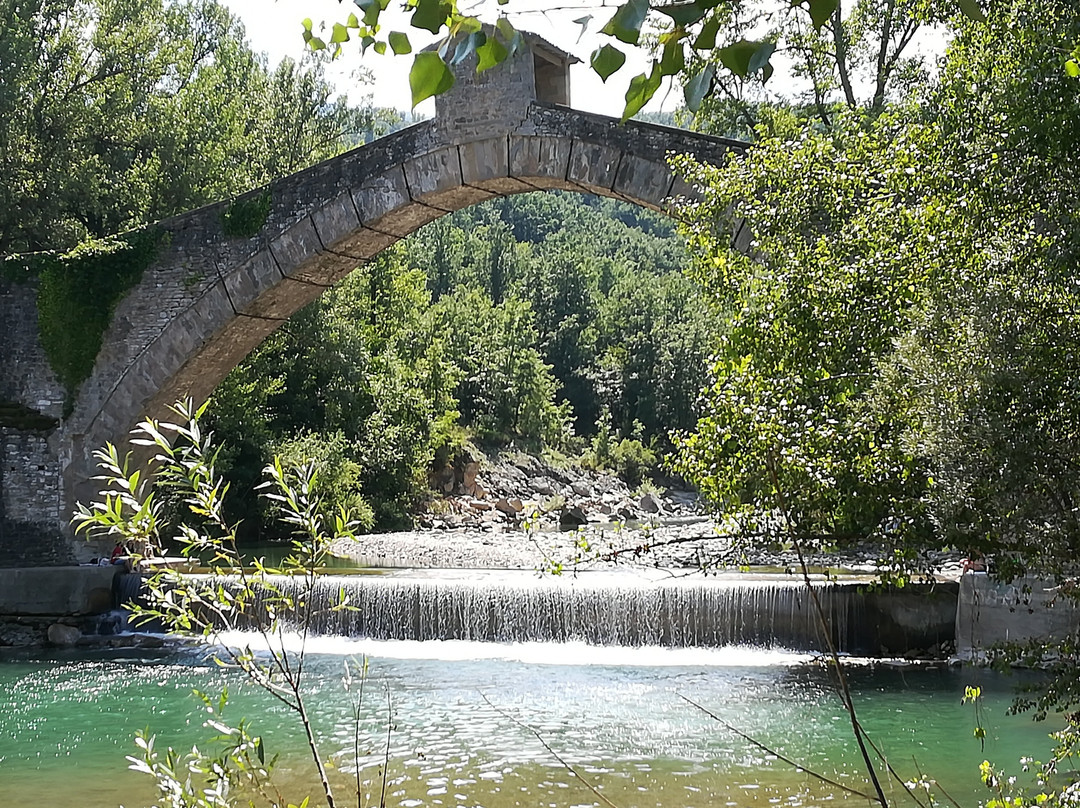 Ponte di Olina-Pavullo Nel Frignano必去景点