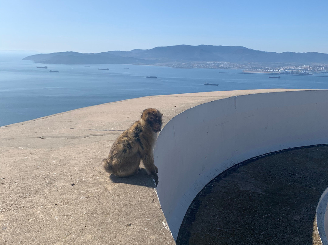 Gibraltar Rock Private Tours-直布罗陀必去景点