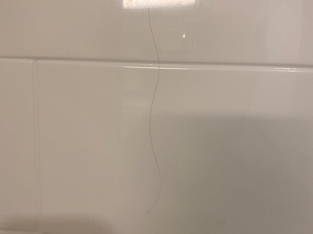 Hampton Inn & Suites Jacksonville/orange Park主图