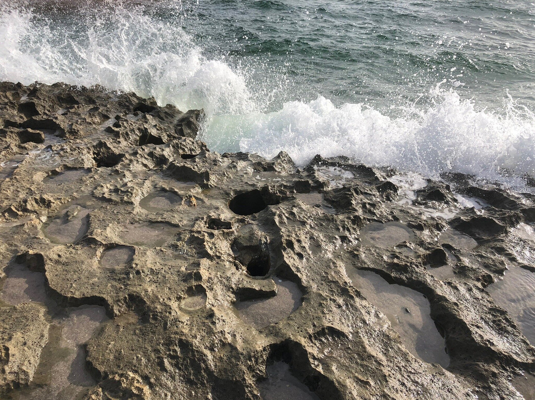 Ocean Reef Park-Riviera Beach必去景点