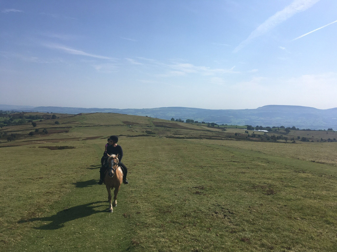 Freerein Riding Holidays-Clyro必去景点