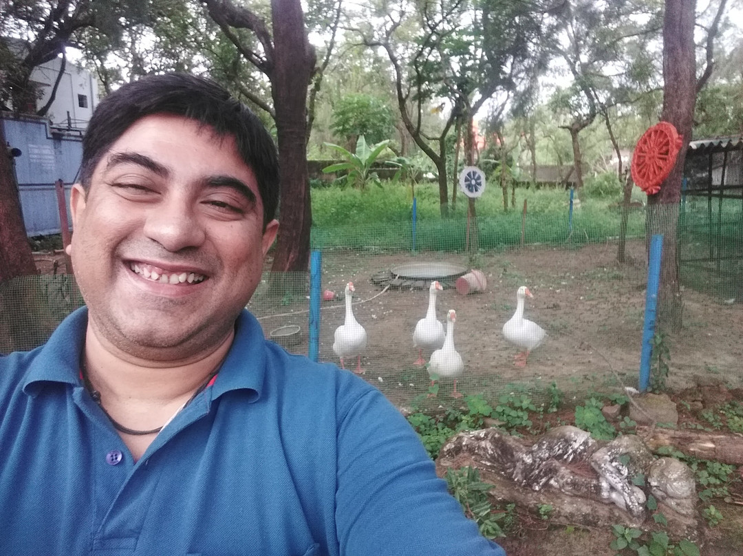 Panthanivas Chandipur主图