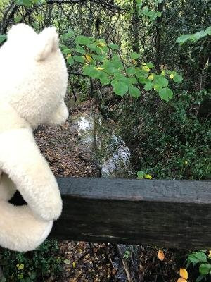 Poohsticks Bridge景点图片