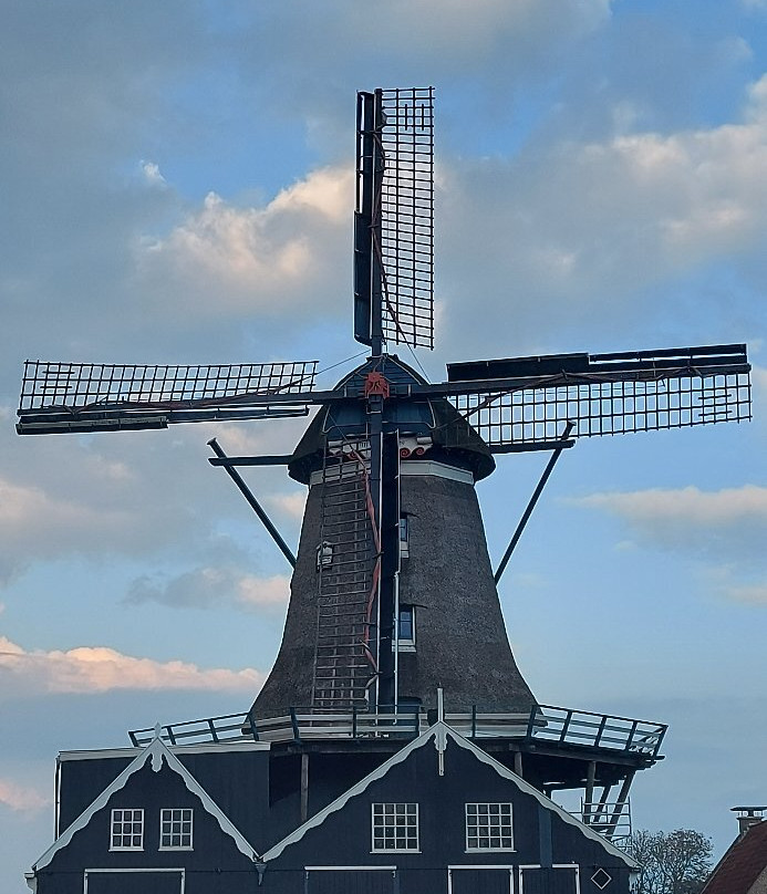 Houtzaagmolen De Rat景点图片