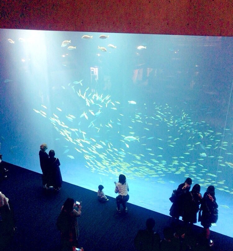 Shikoku Aquarium景点图片