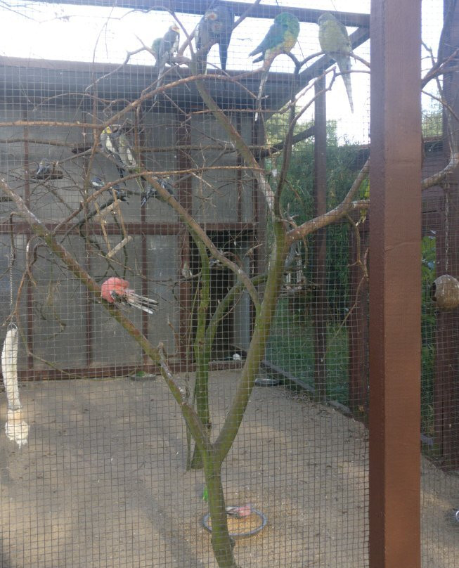 Vogelpark Niendorf景点图片